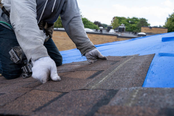 Best Flat Roof Repair Services  in Ferguson, MO